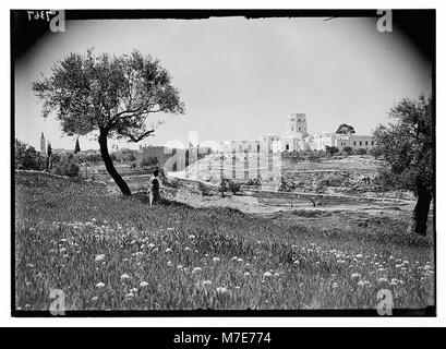 Museum (Rockefeller) in Jerusalem. Museum. Teleaufnahme vom Hang von Olivet matpc 03382 Loc. Stockfoto