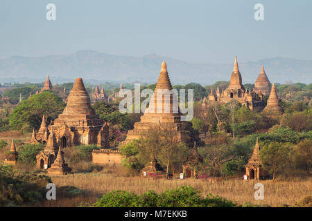 Viele Tempel, Pagoden, Stupas am alten Ebene von Bagan gesehen aus dem shwesandaw Tempel in Myanmar (Burma), am Morgen. Stockfoto