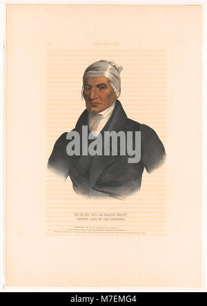 - Ca-Ta Sa-Black He-Cas - Huf, Principal Leiter der Shawanoes - gezeichnet, gedruckt und an I.T. farbige Bowens lithographischen Einrichtung. LCCN 95502230 Stockfoto