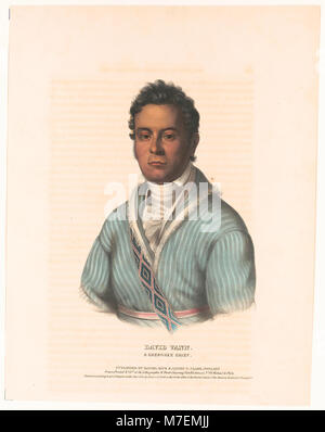 David Vann. Ein Cherokee Chief - gezeichnet, gedruckt und col würden an der Lithographischen & Drucken Färbung, Nr. 94 Walnut St., Phila. LCCN 2004675106 Stockfoto