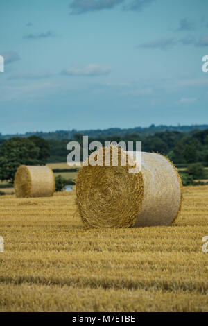 Große goldene Rund oder zylindrisch Müsli Strohballen in Net gebunden, allein im malerischen Bauernhof Feld nach der Ernte - Whixley, North Yorkshire, England, UK. Stockfoto