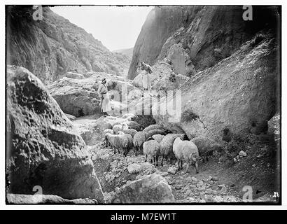 Satz von dreizehn wählen Sie Folien von Hirten leben, zur Veranschaulichung der Dreiundzwanzigsten Psalms. Sicherlich Güte und Barmherzigkeit". LOC 05680 matpc. Stockfoto