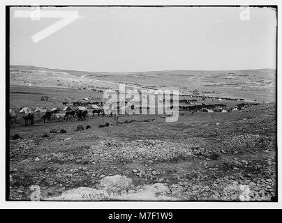 Australische Light Horse Truppen, die während des Ersten Weltkriegs auf dem Mount Scopus nahe Tell el-Ful stationiert waren und am Sinai- und Palästinenserfeldzug beteiligt waren. Stockfoto