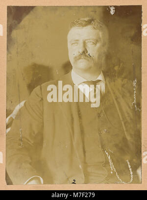 Theodore Roosevelt, Brustbild, Sitz, auf der Suche nach Links LCCN 2013649554 Stockfoto