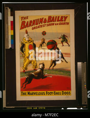 Ein Vintage-Poster von der Barnum & Bailey Greatest Show auf der Erde mit den wunderbaren Fußball spielenden Hunden, die Teil des Zirkusspektakels sind. Stockfoto