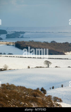 Schnee auf der South Downs in East Sussex, England. Stockfoto