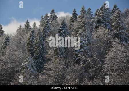 Auf dem Weg nach Siebenbürgen aus Bukarest, Rumänien Stockfoto