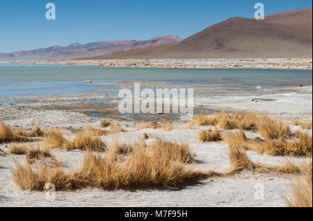 Laguna y Termas de Polques hot spring Pool mit Salar de Chalviri im Hintergrund, Salar de Uyuni, Potosi, Bolivien - Südamerika Stockfoto