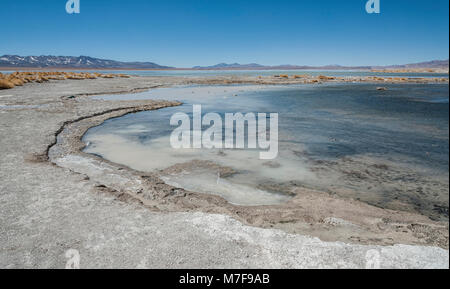 Laguna y Termas de Polques hot spring Pool mit Salar de Chalviri im Hintergrund, Salar de Uyuni, Potosi, Bolivien - Südamerika Stockfoto