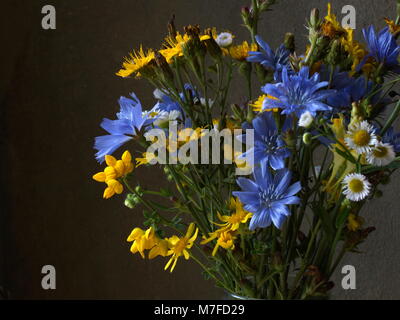 Blumenstrauß aus gelben und blauen Blumen. Der Duft steht gegen die raue texturierte Wand. Stockfoto