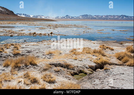 Laguna y Termas de Polques hot spring Pool mit Salar de Chalviri im Hintergrund, Salar de Uyuni, Potosi, Bolivien - Südamerika Stockfoto