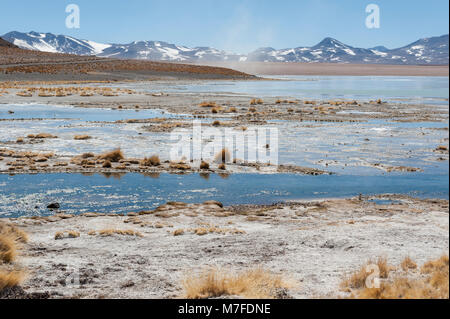 Laguna y Termas de Polques hot spring Pool mit Salar de Chalviri im Hintergrund, Salar de Uyuni, Potosi, Bolivien - Südamerika Stockfoto