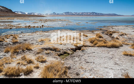 Laguna y Termas de Polques hot spring Pool mit Salar de Chalviri im Hintergrund, Salar de Uyuni, Potosi, Bolivien - Südamerika Stockfoto