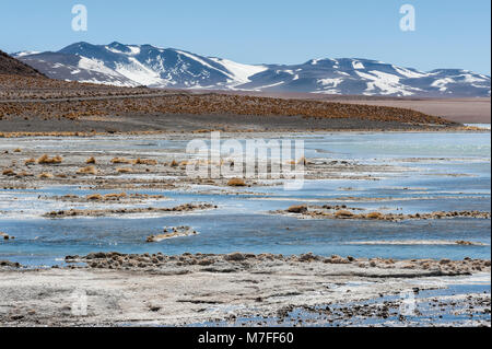 Laguna y Termas de Polques hot spring Pool mit Salar de Chalviri im Hintergrund, Salar de Uyuni, Potosi, Bolivien - Südamerika Stockfoto