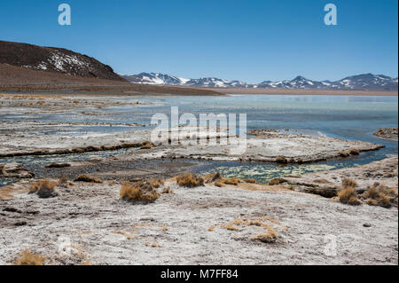 Laguna y Termas de Polques hot spring Pool mit Salar de Chalviri im Hintergrund, Salar de Uyuni, Potosi, Bolivien - Südamerika Stockfoto