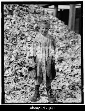 Winzig, sieben Jahre alten Oyster shucker (Henry's Schwester, Nr. 3291) nicht in die Schule gehen. Werke stetig. In einem Jahr. Maggioni Canning Co.LOC 05335 nclc. Stockfoto