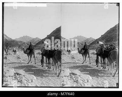 Ein Foto einer Karawane, die durch Wady Hebran auf dem Weg zum Sinai über das Rote Meer reist. Dieses Bild zeigt die Wüstenlandschaft und die Reise der Händler oder Pilger im Nahen Osten im 19. Jahrhundert. Stockfoto