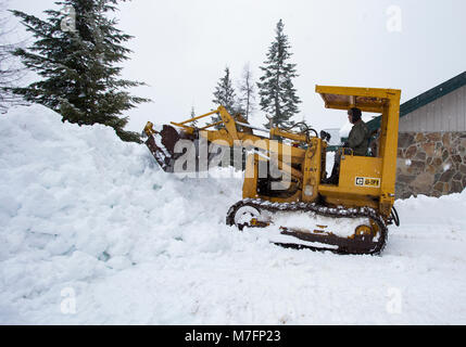 Schneeräumen von Rund um das Haus mit einem Cat 931 Radlader. in Sanders County, Montana Stockfoto