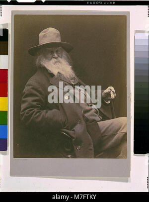 Walt Whitman, drei viertel länge Porträt, Sitzen, Stehen, Tragen, Hut) - G.C. Cox Foto LCCN 97504112 Stockfoto