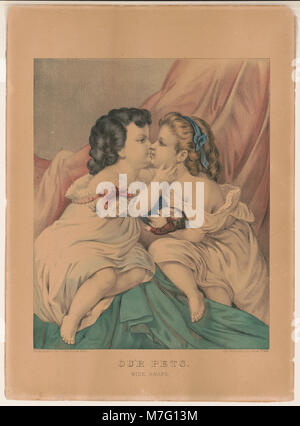 Ein Foto von Haustieren, wachsam und wachsam, das wahrscheinlich die lebendige Natur von Haustieren in einem Moment der Aktivität darstellt. Stockfoto