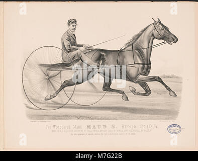 Die wunderbare mare Maud S. Datensatz 2-10 3-4 LCCN 2002698853 Stockfoto