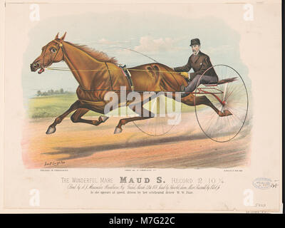 Die wunderbare mare Maud S. Datensatz 2-10 1-4 LCCN 2002698854 Stockfoto