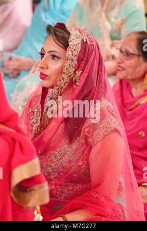 Die Frauen sitzen in Gurdwara in einem Indischen Sikh Hochzeit Stockfoto