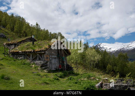 Shieling Homlungsaetra ist eine 550 Meter über dem Geirangerfjord, einem touristischen Hotspot in Norwegen. Stockfoto