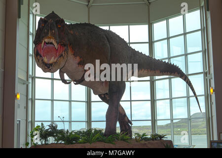 Pecks Rex am Fort Peck Dam Interpretive Centre und Museum, Montana Dinosaur Trail. Stockfoto