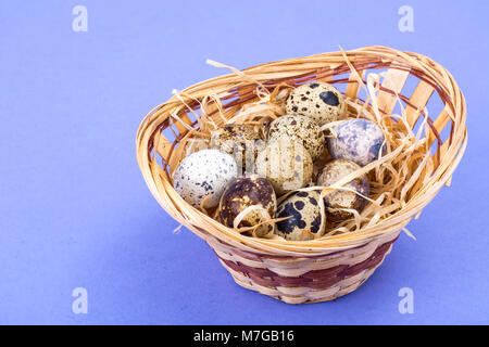 Frische, motley Wachteleier als Symbol für die Osterferien Stockfoto