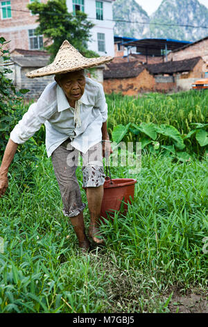Eine alte Frau trägt einen Eimer Wasser in einem Reisfeld in der ländlichen Umgebung des Dorfes Yiling, Nanning, Guangxi, China. NMR Stockfoto
