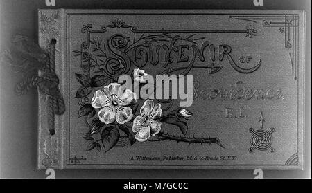 Farbe Abdeckung der Album Souvenir von Providence, R.I., Illus. mit Blumen auf dornigen Zweig LCCN 2002709516 Stockfoto