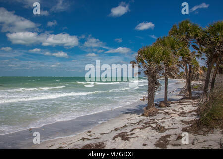 Wild unbewohnten Ufer von Egmont Key State Park am Golf von Mexico an der Westküste von Florida Stockfoto