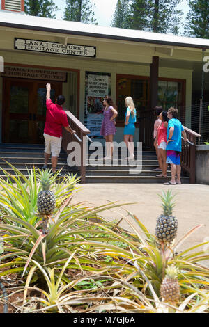 Ein Führer und Touristen besuchen die Lanai Kultur und Heritage Center in Lanai City, Insel Lanai, Hawaii. Alle sechs Personen abgebildet sind Model Released. Stockfoto