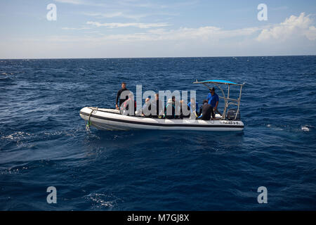 Taucher auf einen harten Boden aufblasbaren lassen das Leben-an Bord Schiff Nai'a auf ihrem Weg zu einem Tauchplatz in Fidschi. Stockfoto