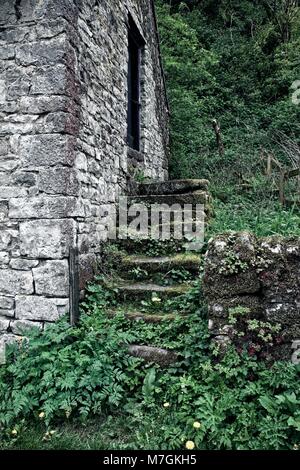 Externe STEINTREPPE ZUM OBEREN SCHEUNE WOLFESCOTE DALE, MÜHLE DALE PEAK DISTRICT NATIONAL PARK Stockfoto