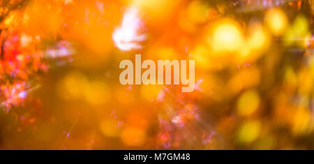 defokussierten Rotes Laub, perfekte Herbst Hintergrund Stockfoto