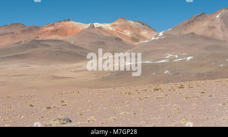 Panoramablick über die Salvador Dali Wüste in der Fauna der Anden Eduardo Avaroa National Reserve, Bolivien - Südamerika Stockfoto