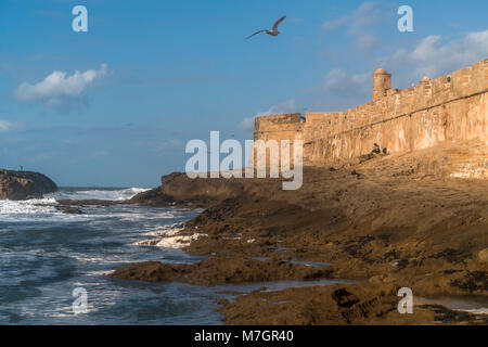 Stadtmauer an der Küste von Essaouira, Königreich Marokko, Afrika | Stadtmauer an der Küste in Essaouira, Marokko, Afrika Stockfoto