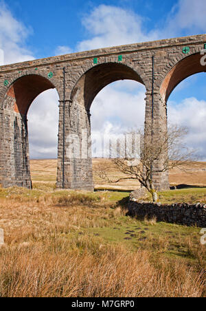 Bögen des Ribblehead Viadukt auf die Felder oben aus Ingleton, North Yorks Stockfoto