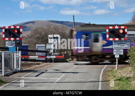 Eine Northern Rail sprinter Zug überquert die automatische Hälfte Barriere Bahnübergang an der grünen Straße, Millom, Cumbria Stockfoto