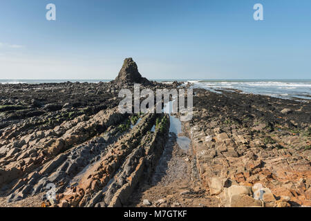 Black Rock und Felsformationen am Strand bei Widemouth Bay, North Cornwall Stockfoto