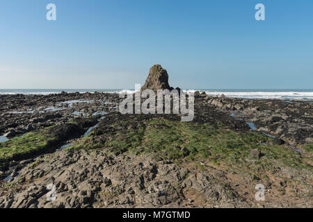 Black Rock und Felsformationen am Strand bei Widemouth Bay, North Cornwall Stockfoto