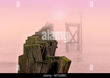 North Shields fisch Quay im Winter nebligen Tag Stockfoto