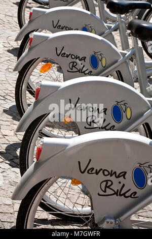 Verona Fahrräder Stockfoto