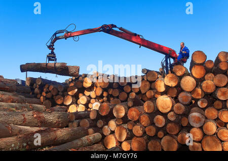 Holzindustrie, Morpeguite, Muxia, La Coruña Provinz, Region Galicien, Spanien, Europa Stockfoto