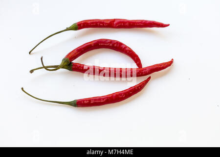 "Piri Piri" Chili, Tabascopeppar (Capsicum frutescens) Stockfoto