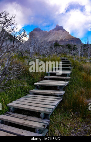 Cuerno Auftraggeber und dem Valle Frances, Torres del Paine Nationalpark. Patagonien, Chile Stockfoto