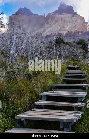 Cuerno Auftraggeber und dem Valle Frances, Torres del Paine Nationalpark. Patagonien, Chile Stockfoto