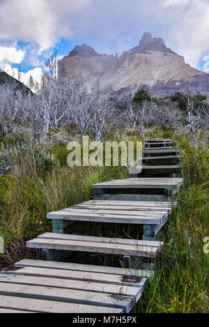 Cuerno Auftraggeber und dem Valle Frances, Torres del Paine Nationalpark. Patagonien, Chile Stockfoto